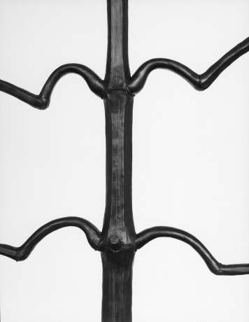 Springkraut (nach Karl Blossfeldt), 2004|Barytabzug|44 x 33,5 cm