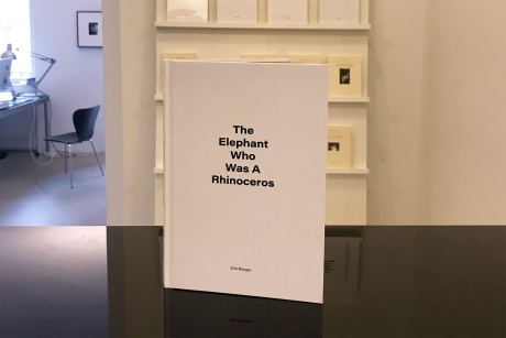 Erik Bünger|The Elephant Who Was a Rhinoceros|Hardcover / 90 Seiten, 15,6 x 22,5 cm, Köln 2018