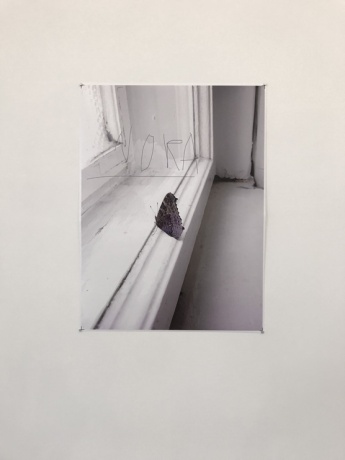 Hans-Jörg Mayer|Nora, 2020|Digitaldruck, 61 × 81 cm
