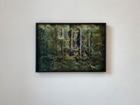 Andreas Greiner|Jungle_Memory_1001, 2020|Fine art print on Hahnemühle photo rag, |museum anti reflective glass, |dark alder wood level designed,| frame with CNC-milled spacer, |Auflage 1|50 × 72 cm