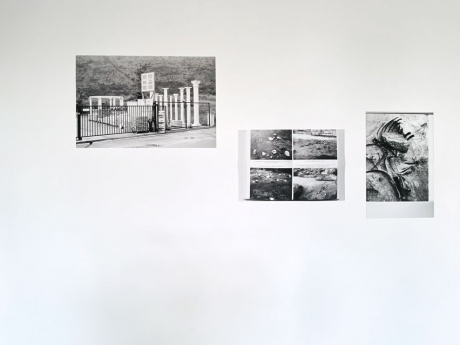 Jenny Schäfer|Wertvolle Geräte / Säulen, 2017|Pigmentprint, 50 × 75 cm|Auflage 5 + 2 AP|Wertvolle Geräte / Zeltring, 2017|Pigmentprint, 40 × 60 cm|Auflage 5 + 2 AP| |Wertvolle Geräte / Opfergabe, 2017|Pigmentprint, 60 × 40 cm|Auflage 5 + 2 AP