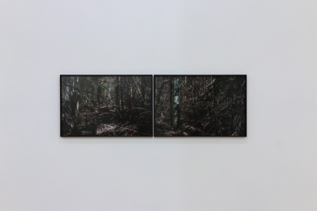 Hubert Becker|Dickicht I, 2022|Fine Art Print, 50 × 74,5 cm|Auflage 10|Dickicht II, 2022|Fine Art Print, 50 × 74,5 cm|Auflage 10