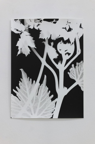 Jochen Lempert|Wein (27.08.2024), 2024|Fotogramm/Foliogramm|38 × 29 cm|(Courtesy BQ Berlin)