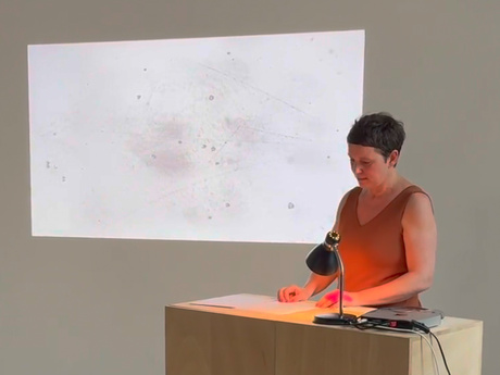 Daniela Friebel|Kollisionen